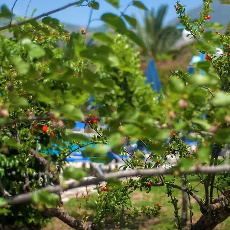 فندق Efrosini Village 3*