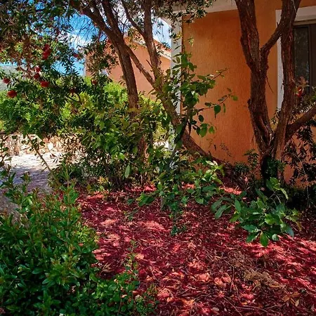 Efrosini Village 3* كاتيليوس