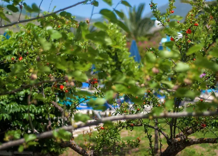 Hotel Efrosini Village 3*