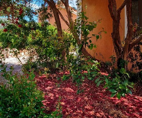 Efrosini Village 3* Katelios