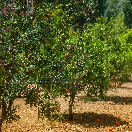 Efrosini Village فندق 3*