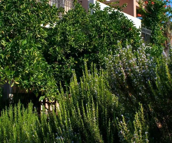 Hotel Efrosini Village Katelios